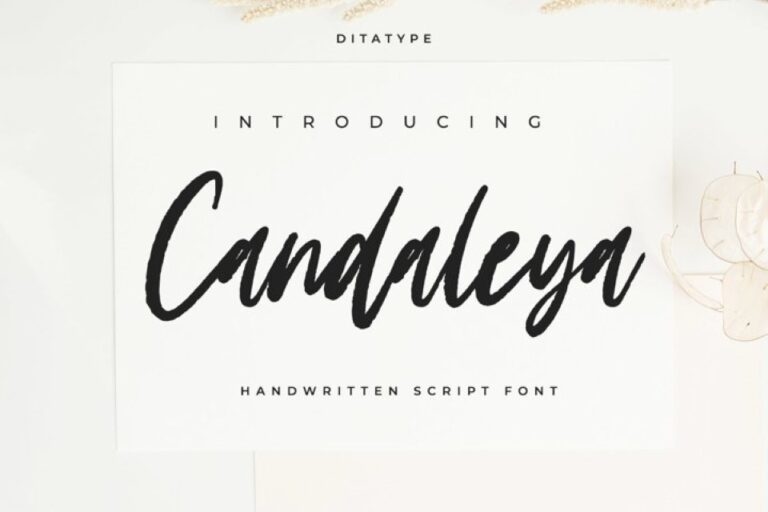 Preview image of Candaleya