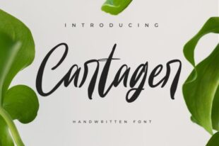 Cartager-Handwritten Font