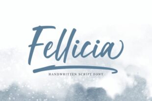 Fellicia-Modern Handwritten Font
