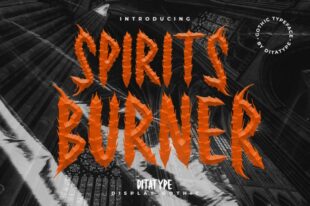 Spirit Burner-Display Font