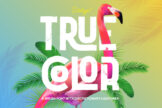 Last preview image of Truecolor-Brush Font