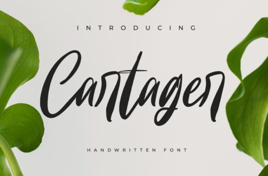  bold letter font
