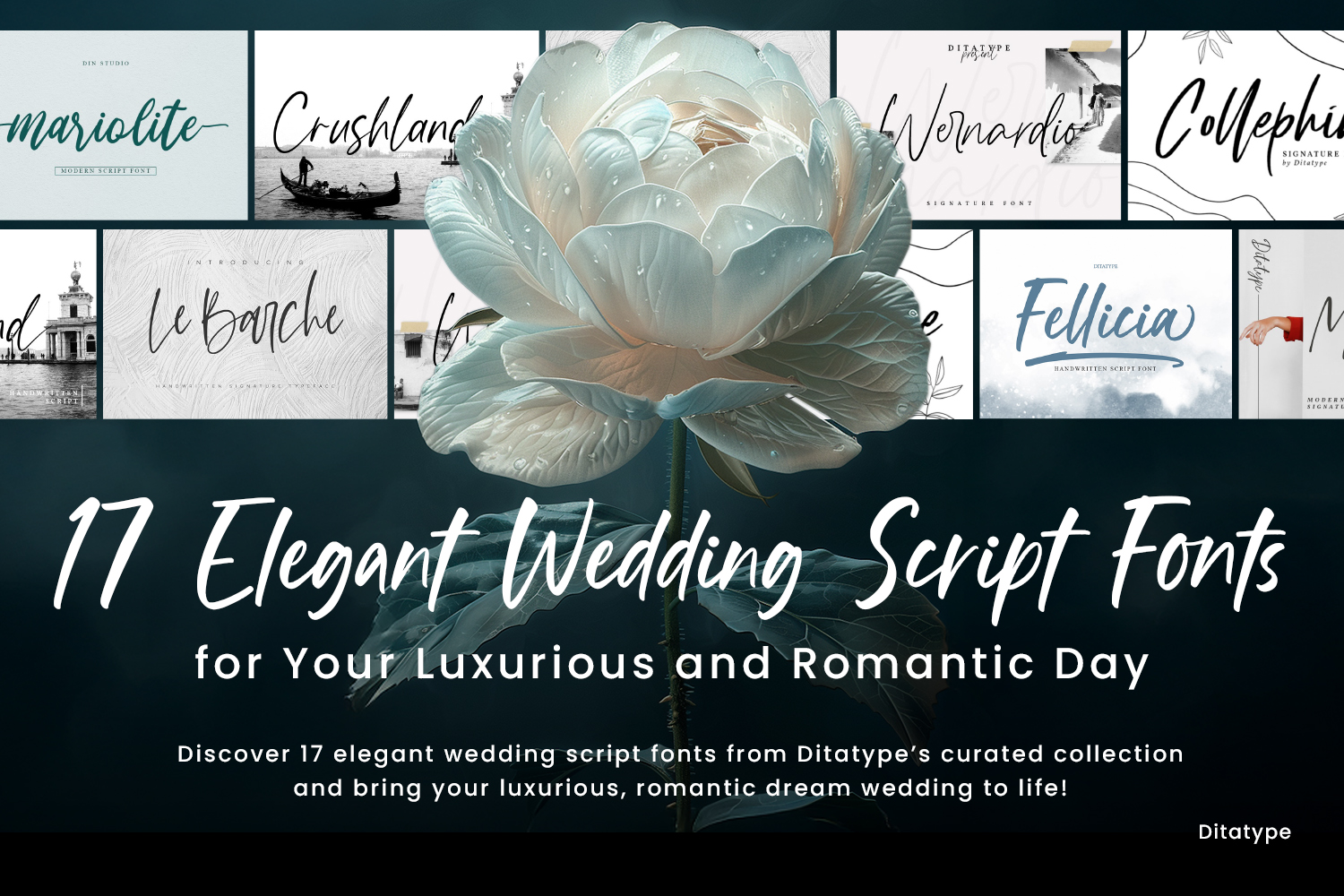 17 Elegant Wedding Script Fonts for Your Luxurious and Romantic Day