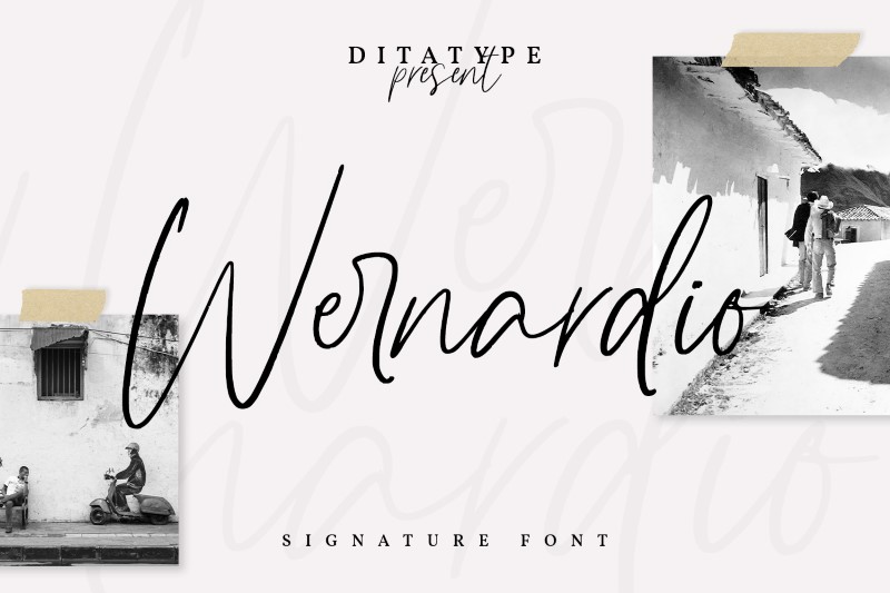elegant wedding script fonts
