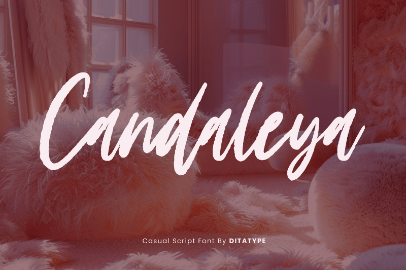 Casual Script Font