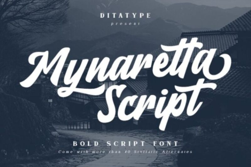swash tail script fonts 